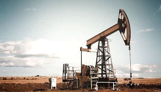 2019 Yeni Ürün Tanıtımı